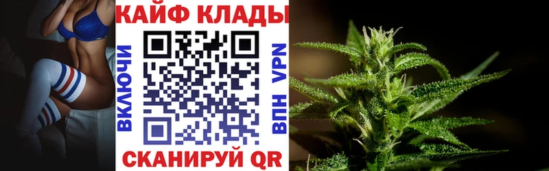 Наркошоп Грайворон Канабис  Галлюциногенные грибы  KRAKEN ONION  СОЛЬ  ГАШИШ  МЕФ  COCAIN 