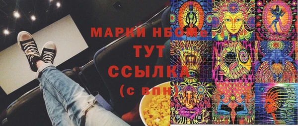 прущие грибы Балахна