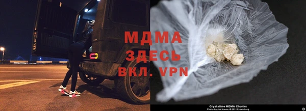 прущие грибы Балахна