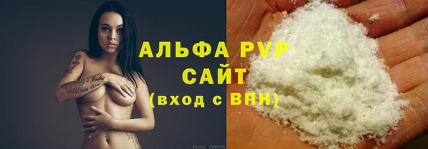 прущие грибы Балахна