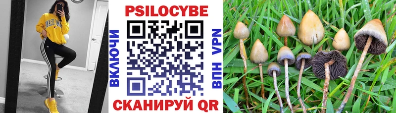 гидра   Грайворон  Псилоцибиновые грибы MAGIC MUSHROOMS 